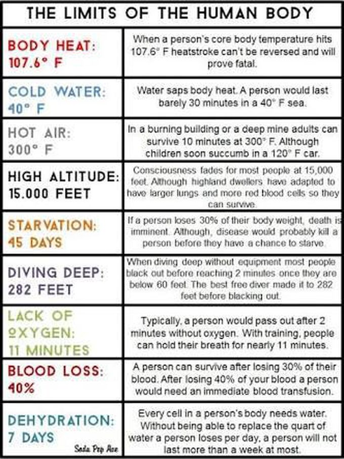 Human body