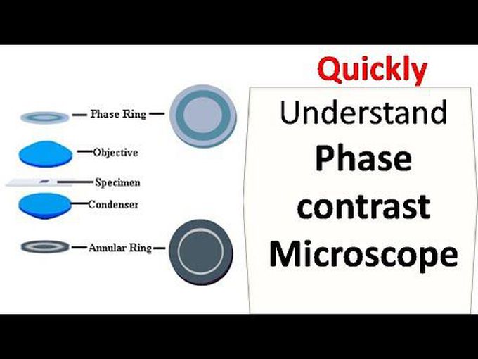 Overview of Phase-contrast microscope