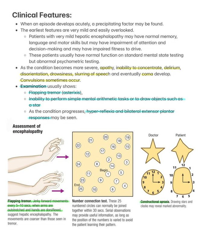 Hepatic Encephalopathy IV