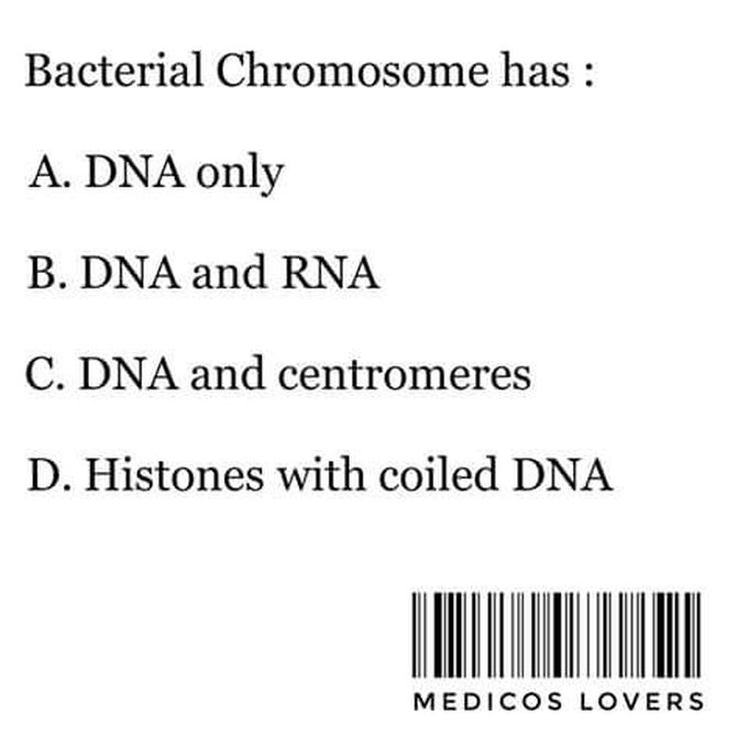 Composition of bacterial chromosome