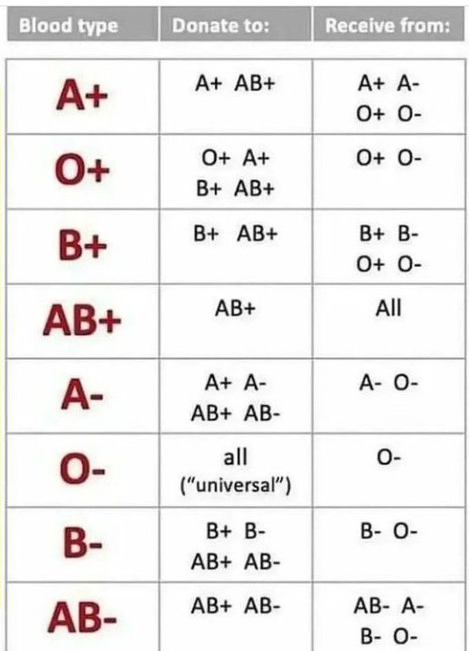 Blood Donation Chart