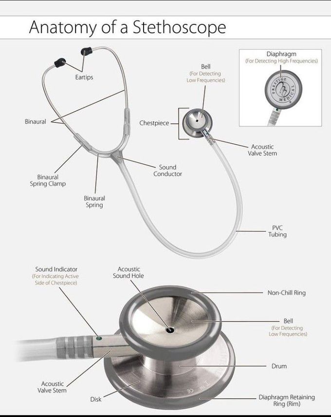 Anatomy of stethoscope