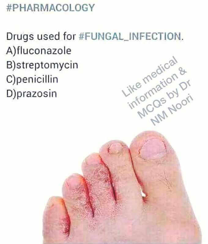 Fungal