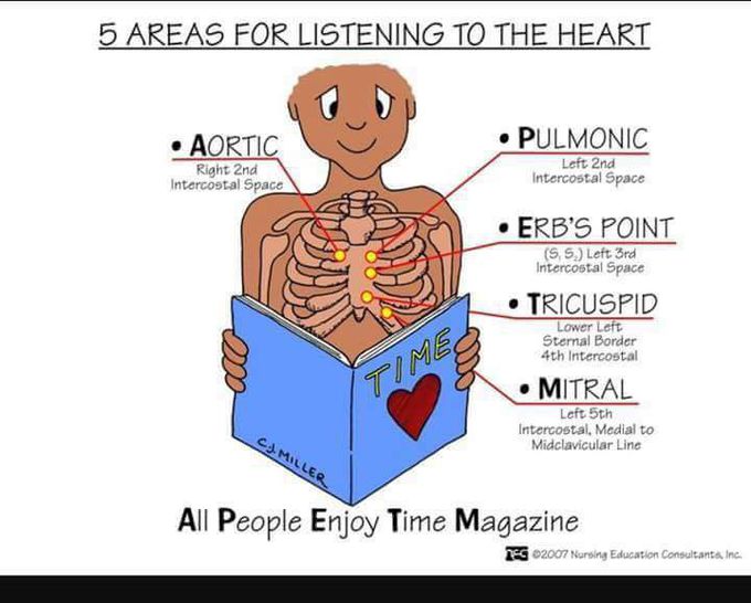 Areas for listening to the heart