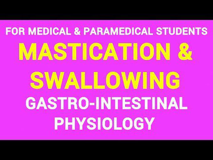 Ingestion of food - mastication and 
swallowing