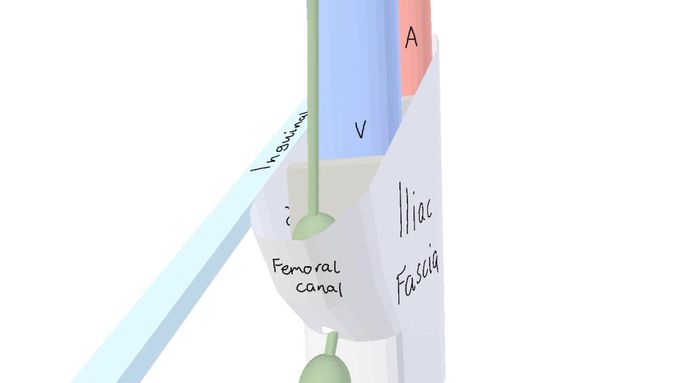 3D Tour of the Femoral Canal