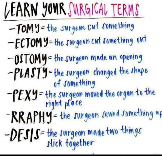 Schematized way to learn your surgical terms.