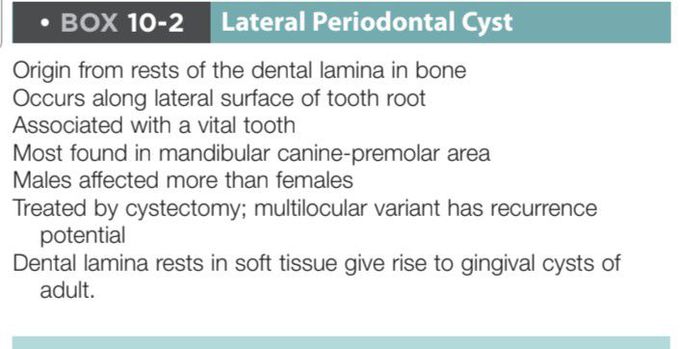 Lateral periodontal cyst
