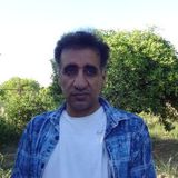 Saeed Tavakoli