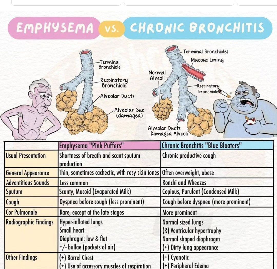 Emphysema Vs Chronic Bronchitis Medizzy