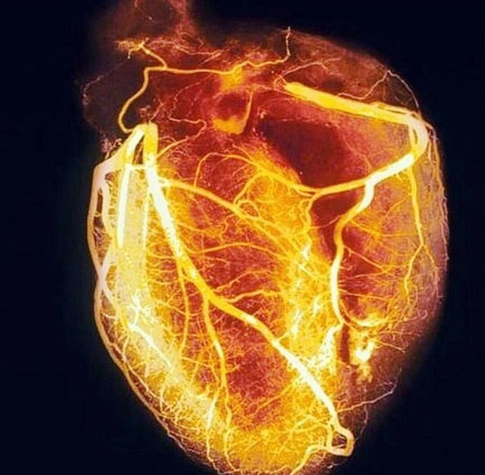 The power of the human heart