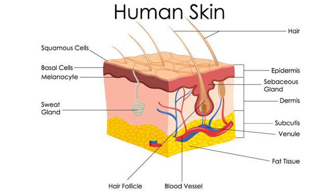 Cause of basal cell carcinoma