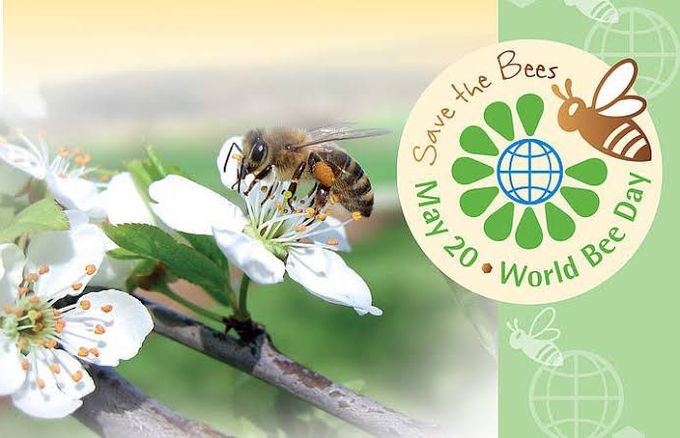 World Bee Day
