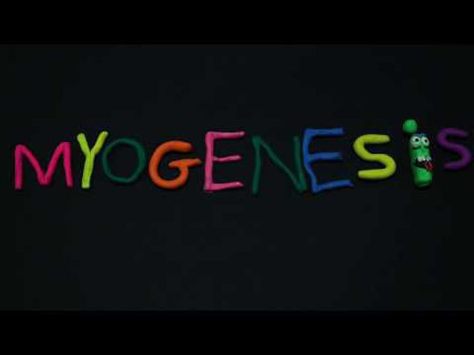 Myogeneis-Development