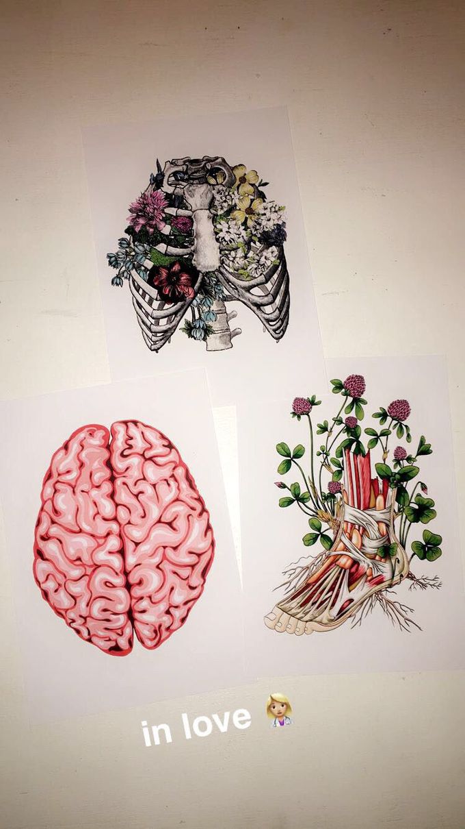 Anatomical Art 👩🏼‍⚕️