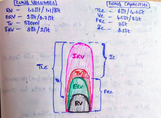Lung volumes and Lung capacites