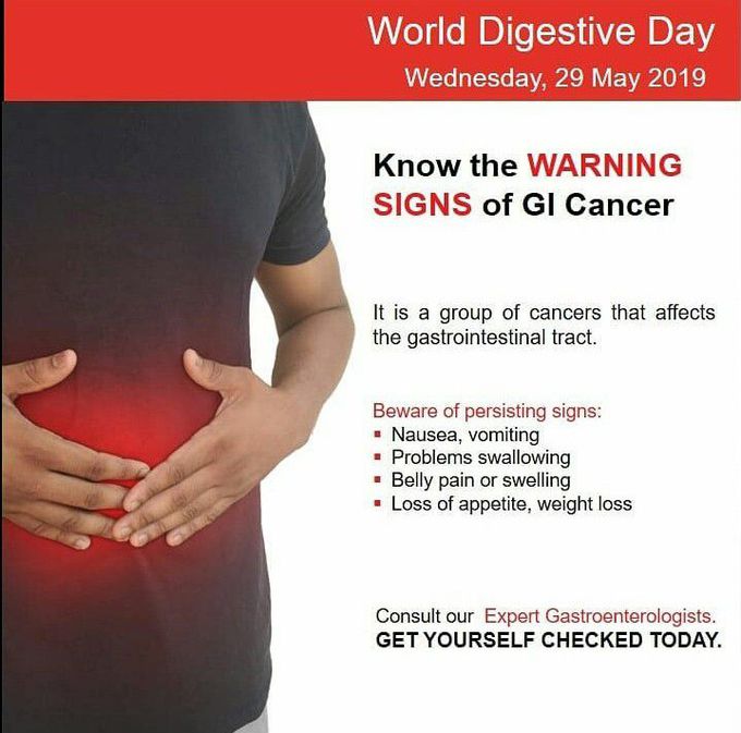 World Digestive Day