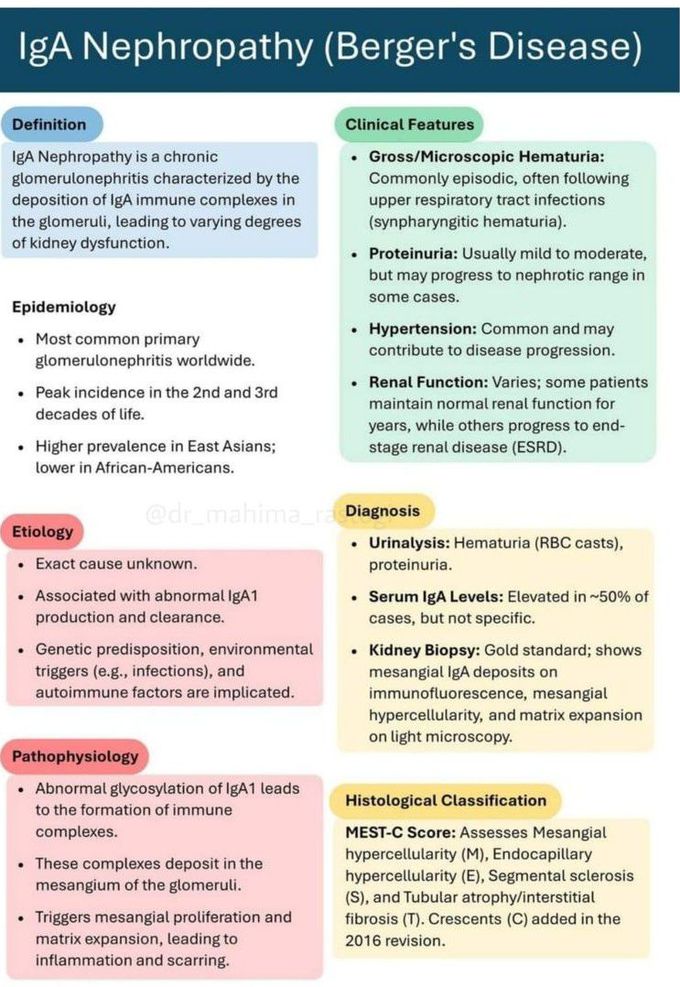 IgA Nephropathy II