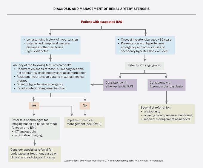 Diagnosis and Management of Renal Artery Stenosis