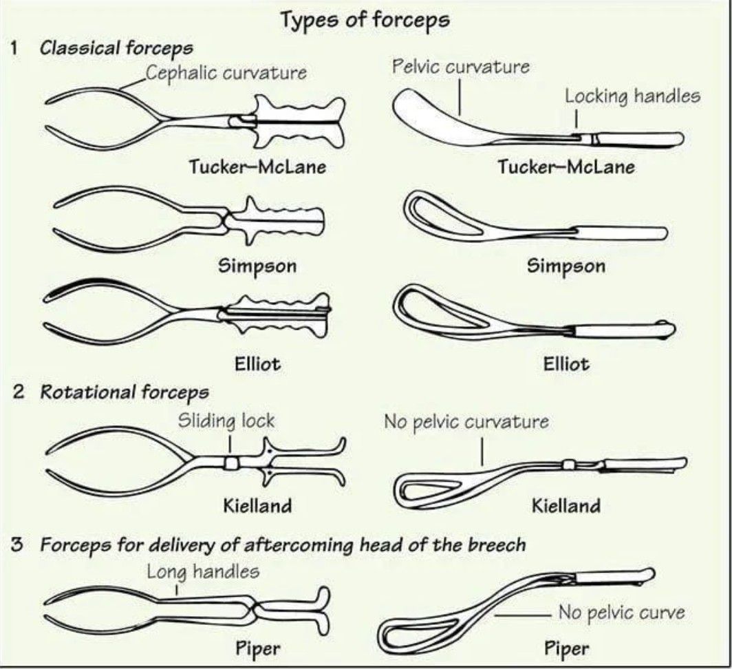 Types of Forceps MEDizzy