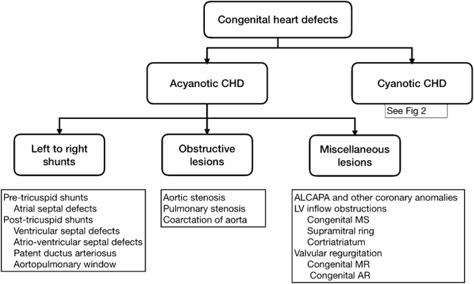 Acyanotic heart disease
