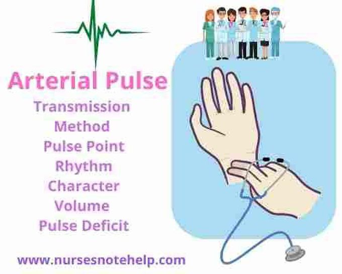 Arterial Pulse: Transmission, Method, Pulse Point, Rhythm Character, Volume, Pulse Deficit by Nurses Note