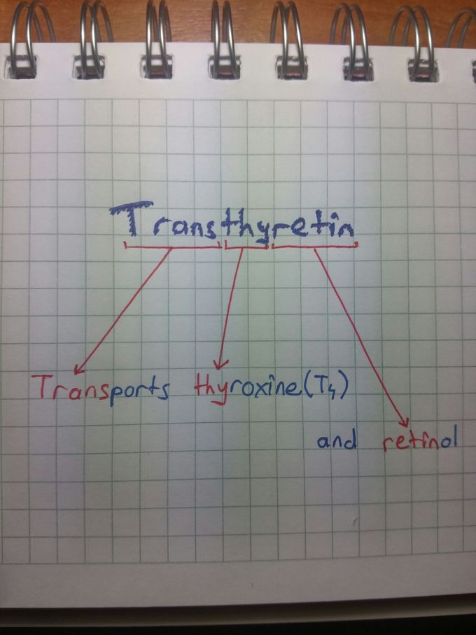 Prealbumin (Transthyretin)