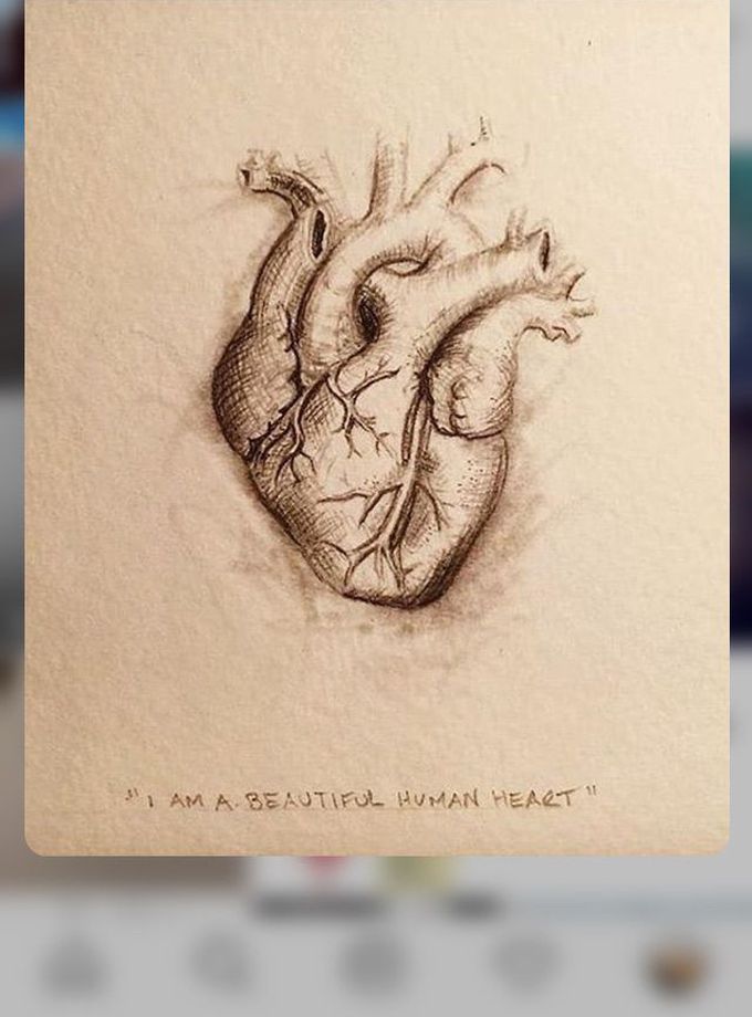 Beautiful human heart