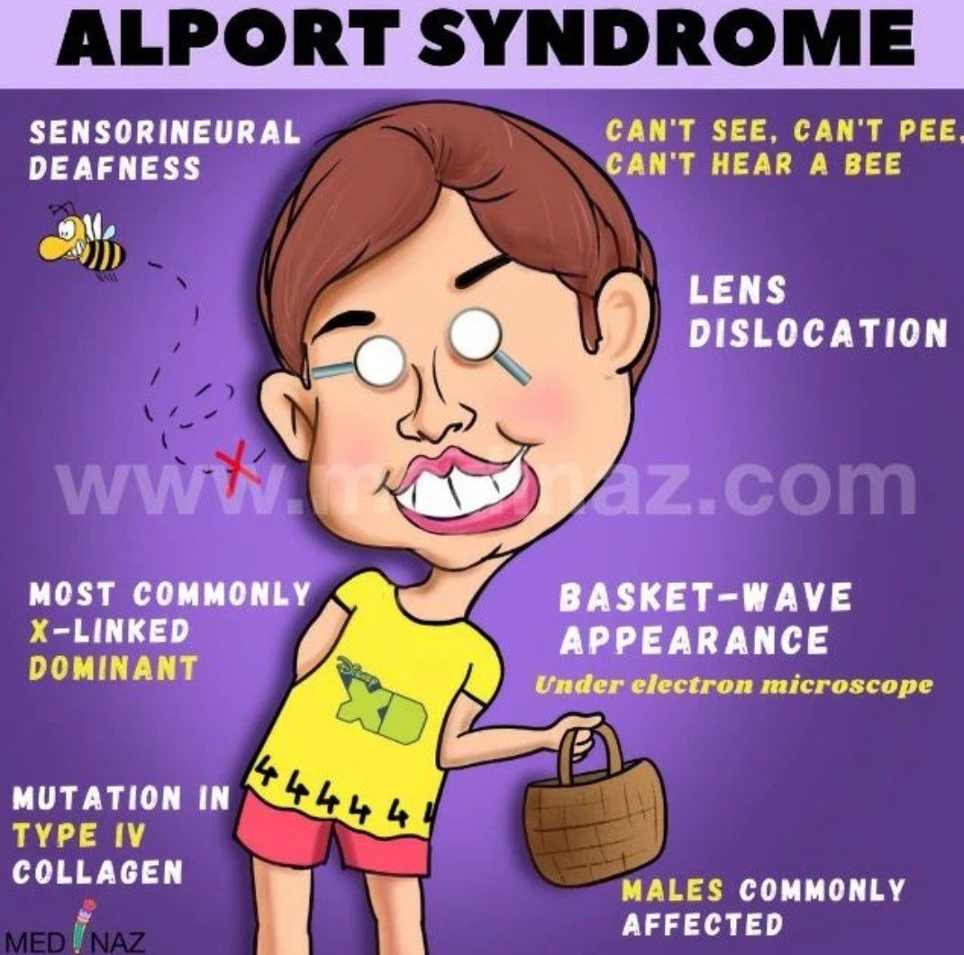 Alport Syndrome MEDizzy