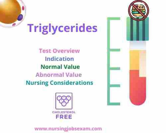 Triglyceride: Test Overview, Indication, Normal and Abnormal Value, Nursing Considerations - Nursing Jobs Exam