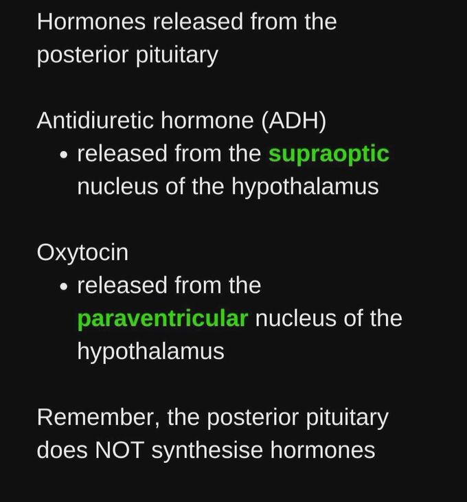 Posterior Pituitary Hormones