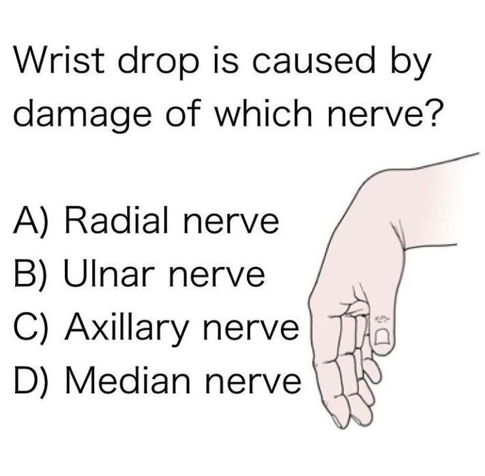 Answer the question below