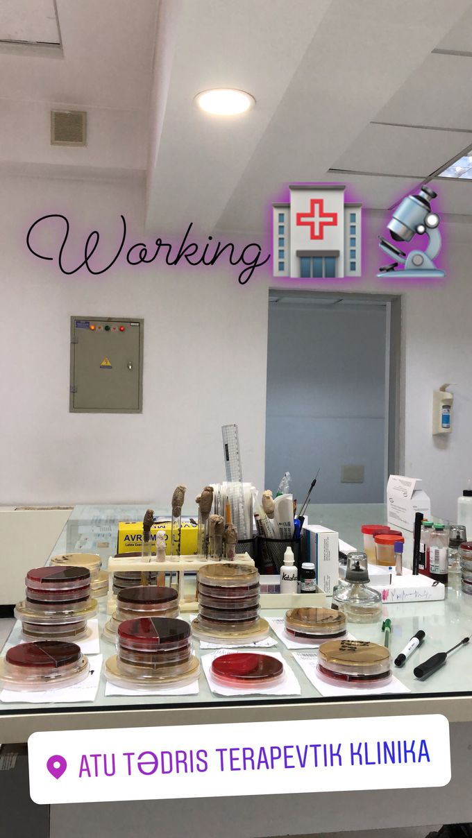 Working, working, working...