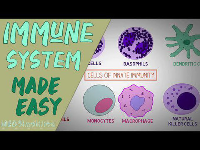 Immune Mechanisms: Overview