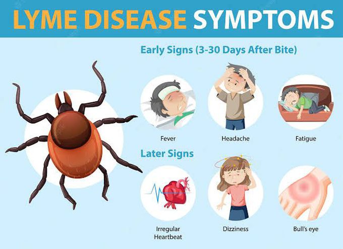 Lyme disease