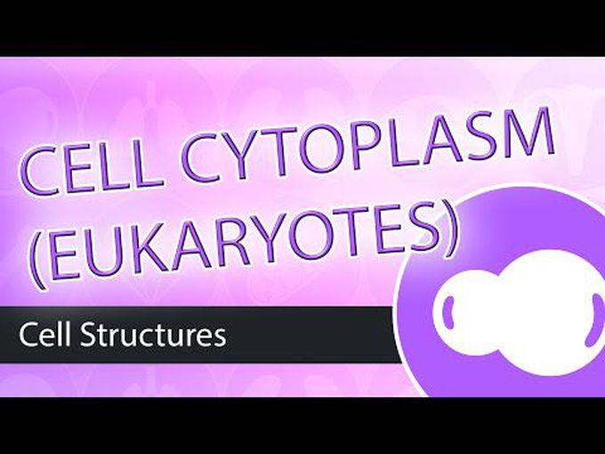 Introduction to Cytoplasm