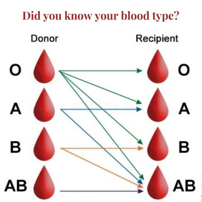 Donor Recipient Chart