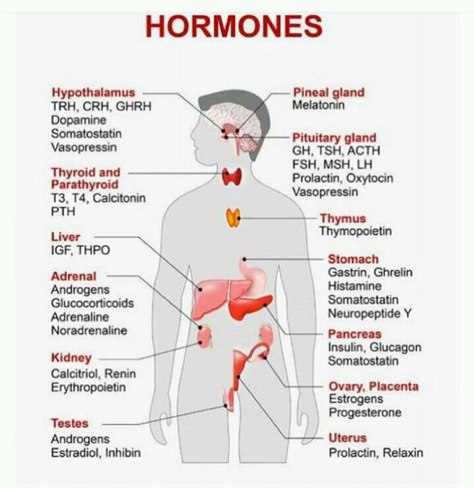 Hormones