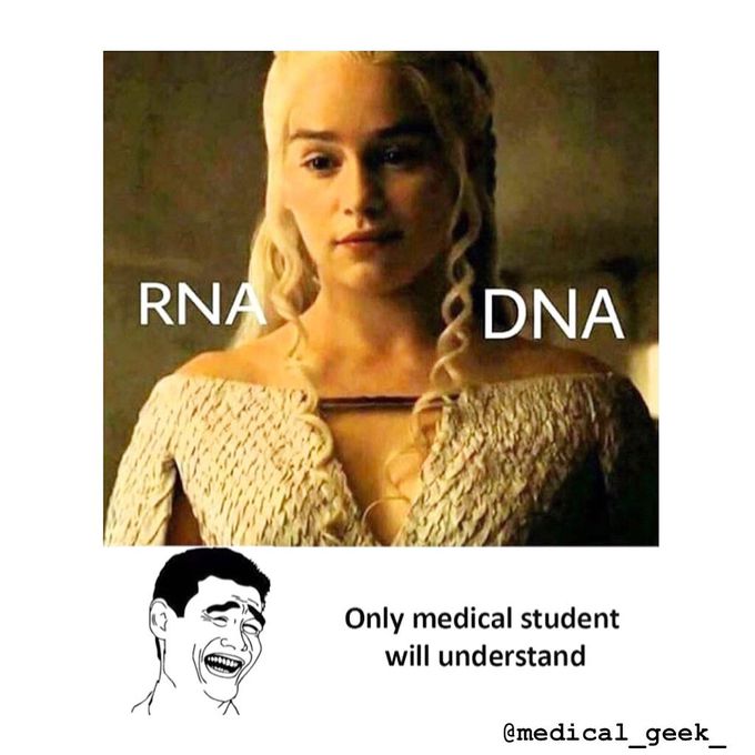 RNA v/s DNA   ⚕️😂😂