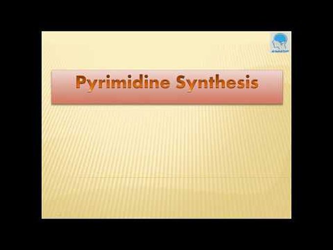 Mnemonics for pyrimidine synthesis