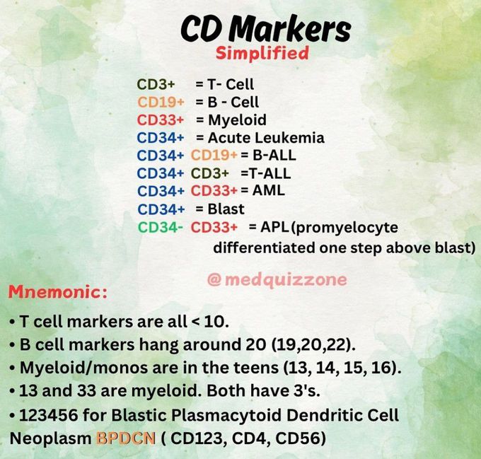 CD Markers