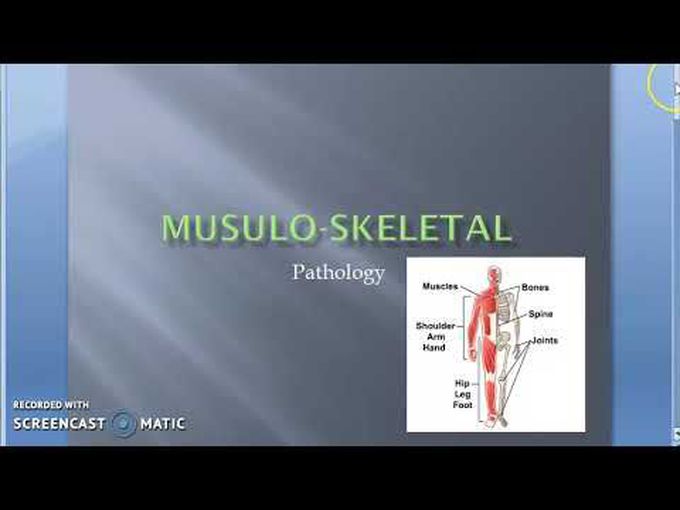 Musculoskeletal pathology- descriptive
