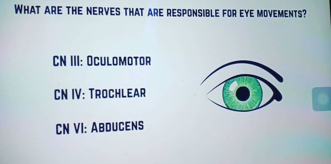 Nerves responsible for eye movements