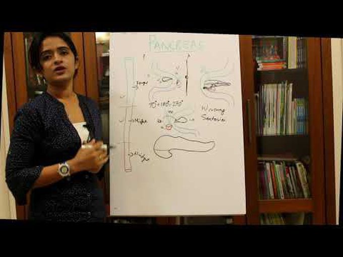 Development of Pancreas