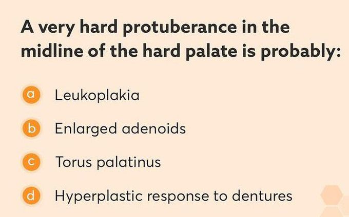 Hard protrubrence in the midline of palate is called?