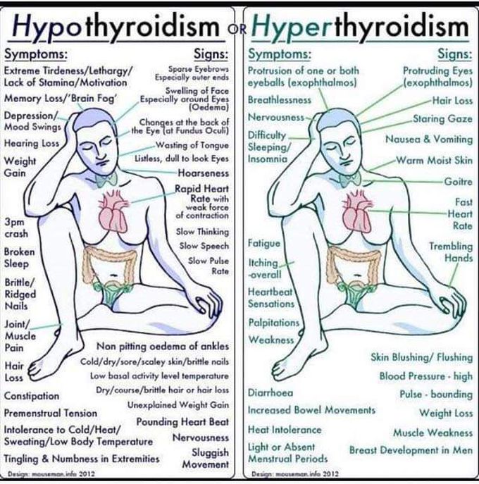 Hyperthyroidism vs hypothyroidism