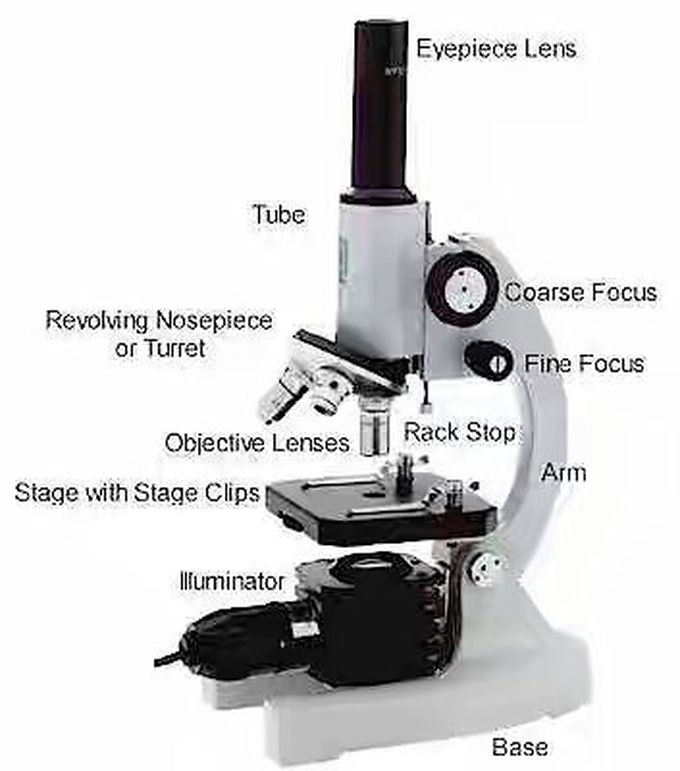 Microscope