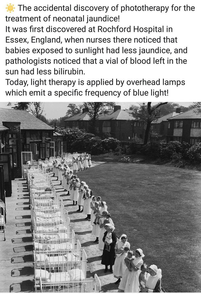 Neonatal jaundice,Medical history.