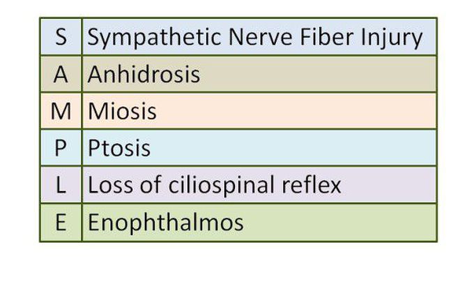 Symptoms of Horner's Syndrome