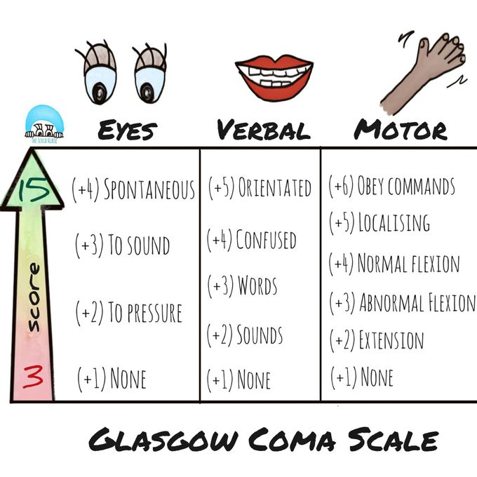 Glasgow Coma Scale